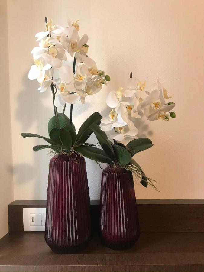 Verona Porta Borsari Relais المظهر الخارجي الصورة